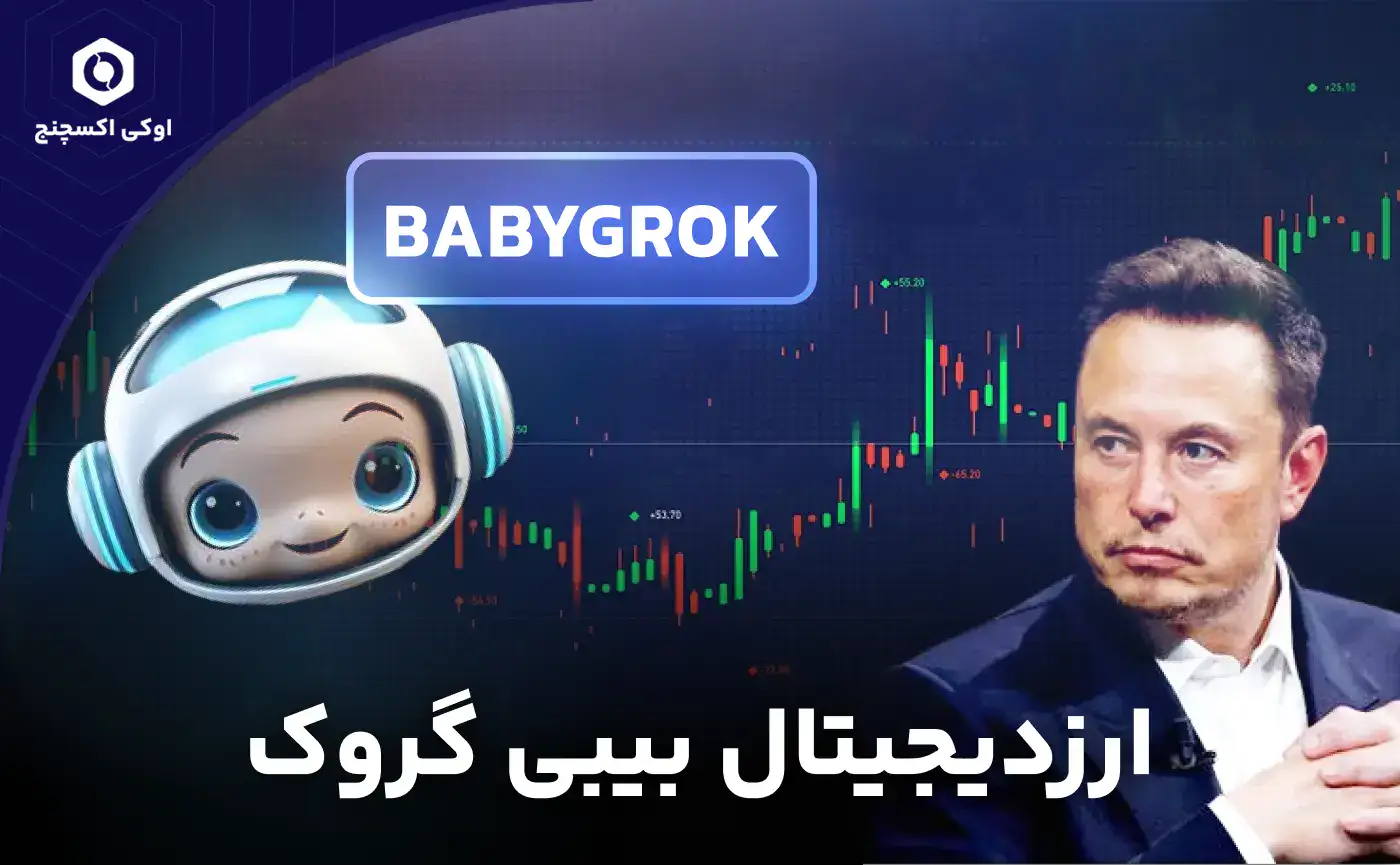 ارز دیجیتال baby grok