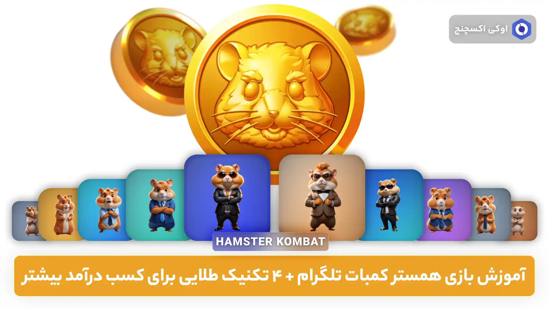 ایردراپ همستر کمبات چیست