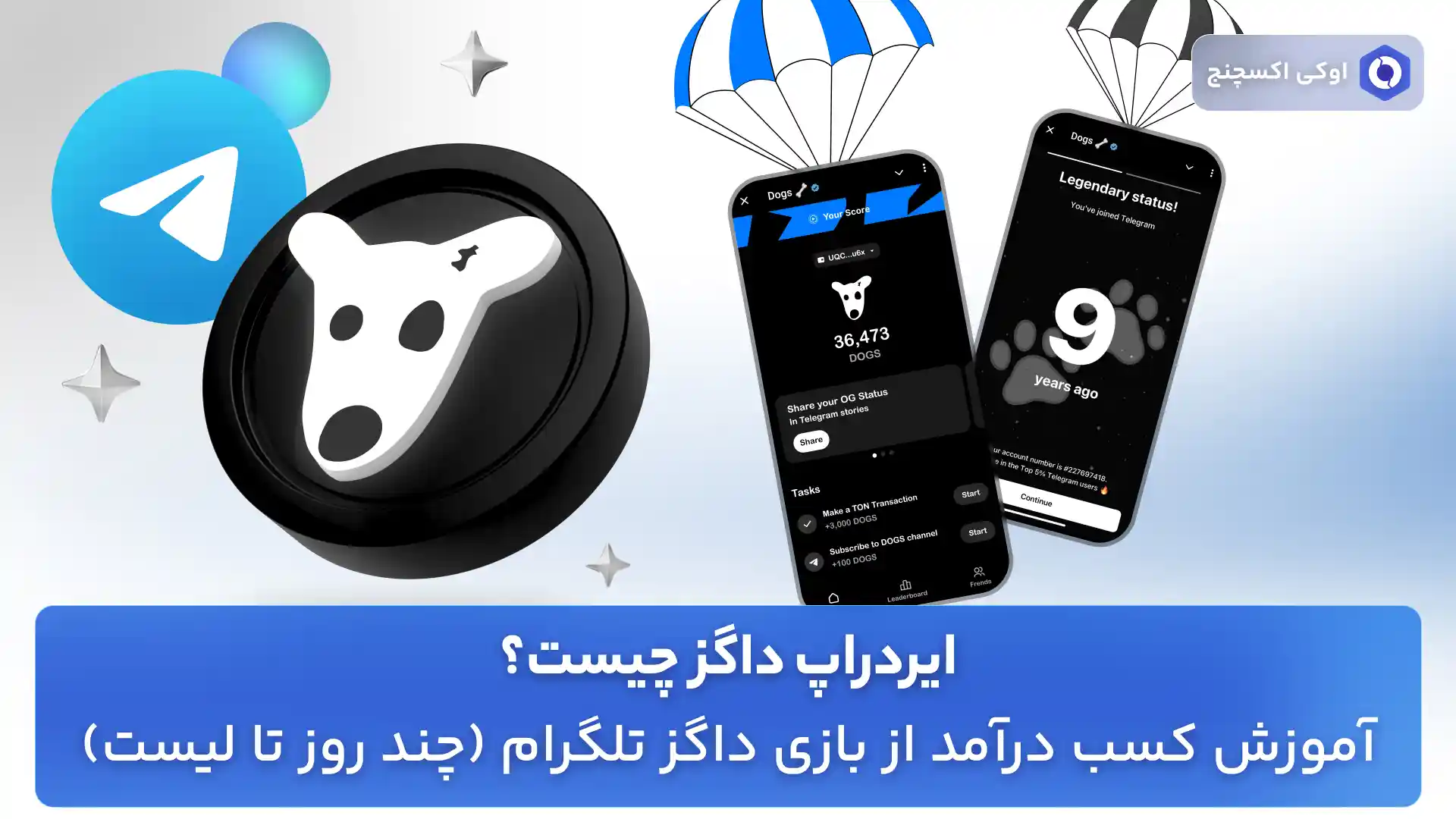 ایردراپ داگز چیست