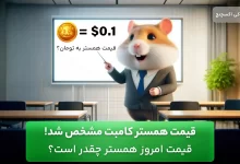 قیمت همستر در صرافی