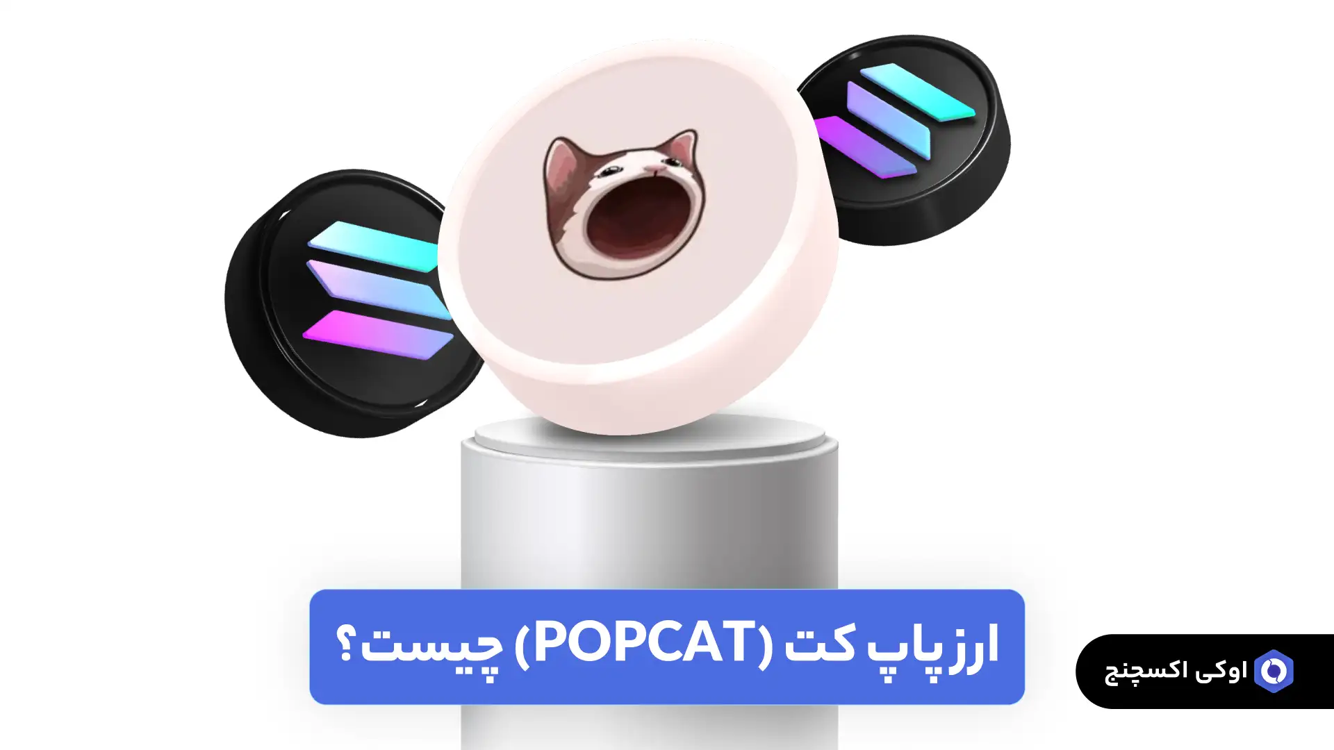 ارز پاپ کت (POPCAT)