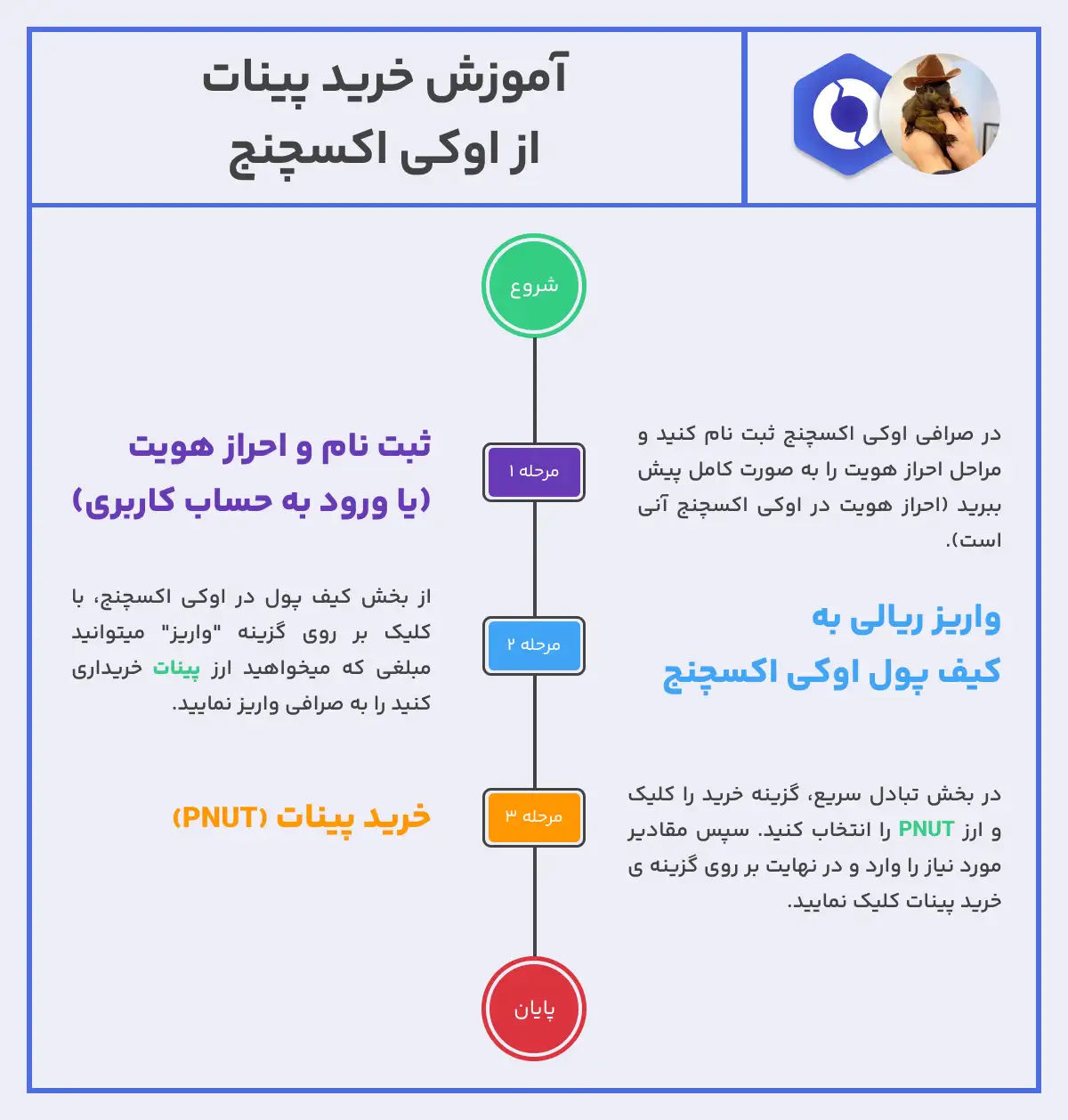 آموزش خرید ارز PNUT از صرافی