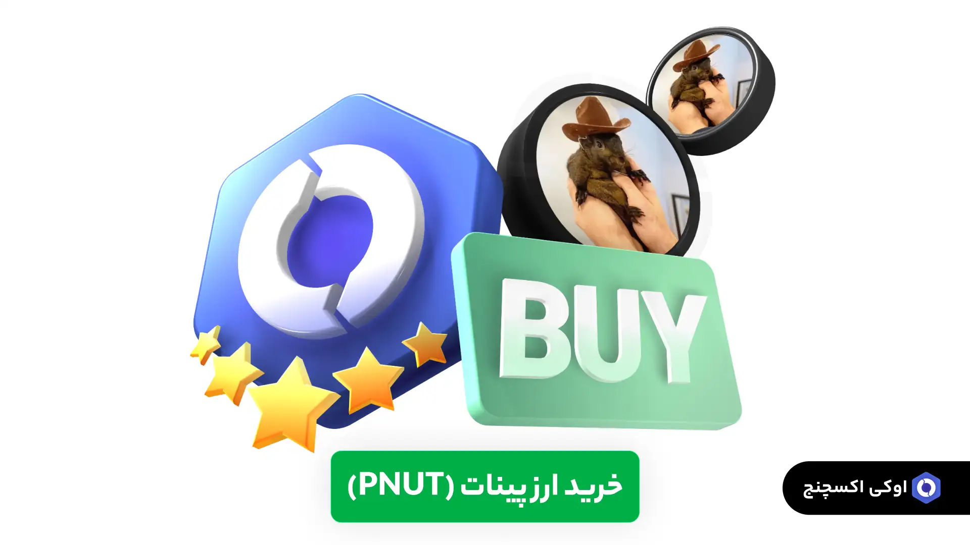 خرید پینات (PNUT)