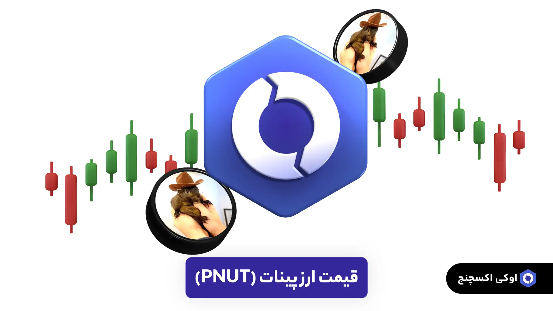 قیمت پینات (PNUT)