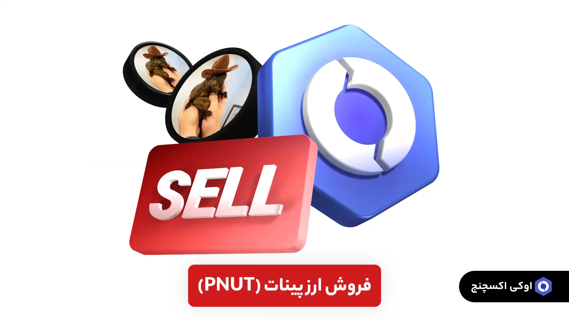 فروش ارز پینات (PNUT)