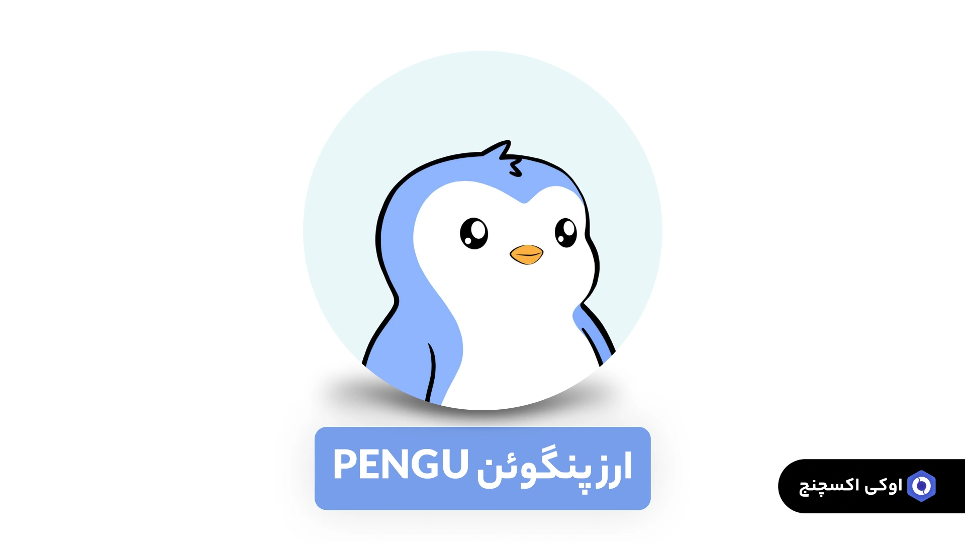 ارز پنگوئن PENGU