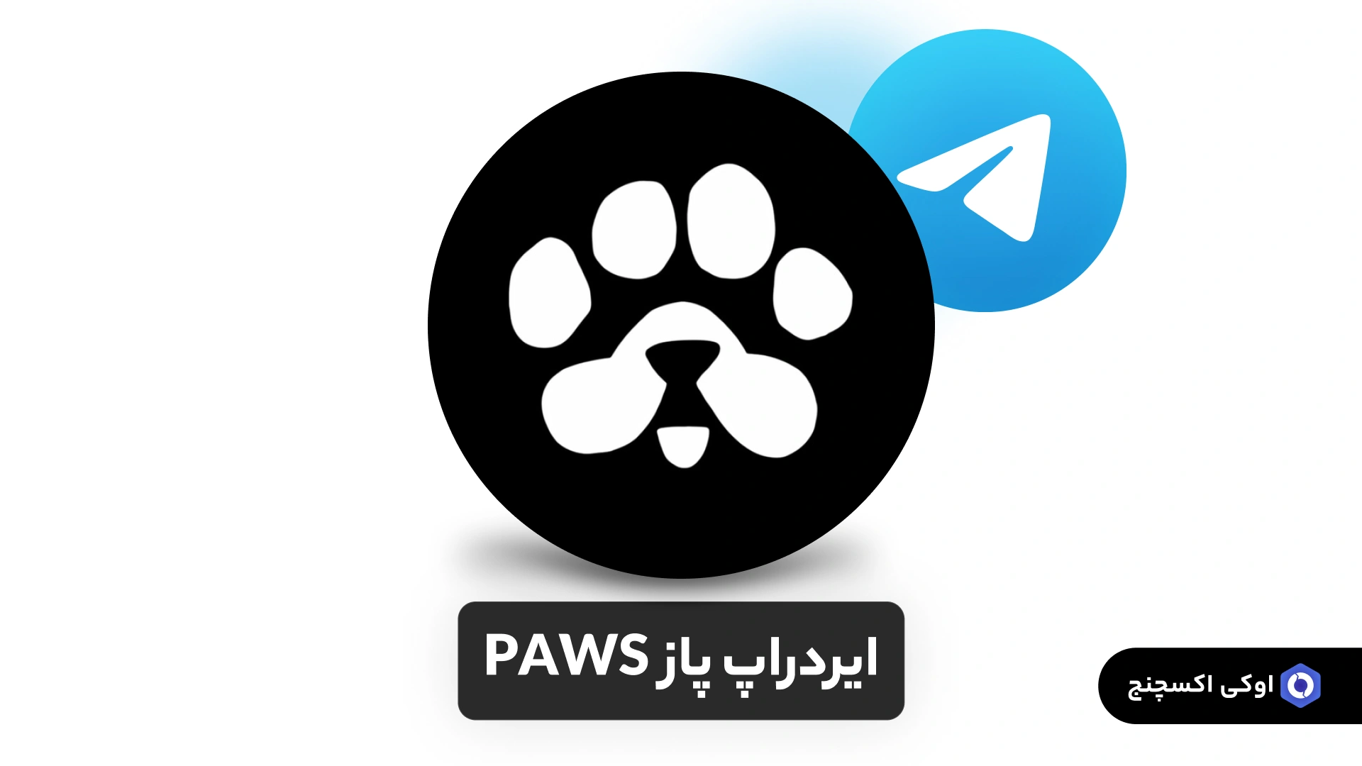 ایردراپ پاز PAWS