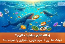 میم کوین های منتخب نهنگ ها