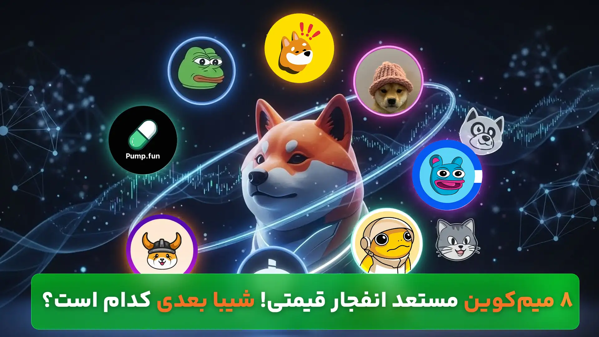 شیبای بعدی، میم کوین انفجاری